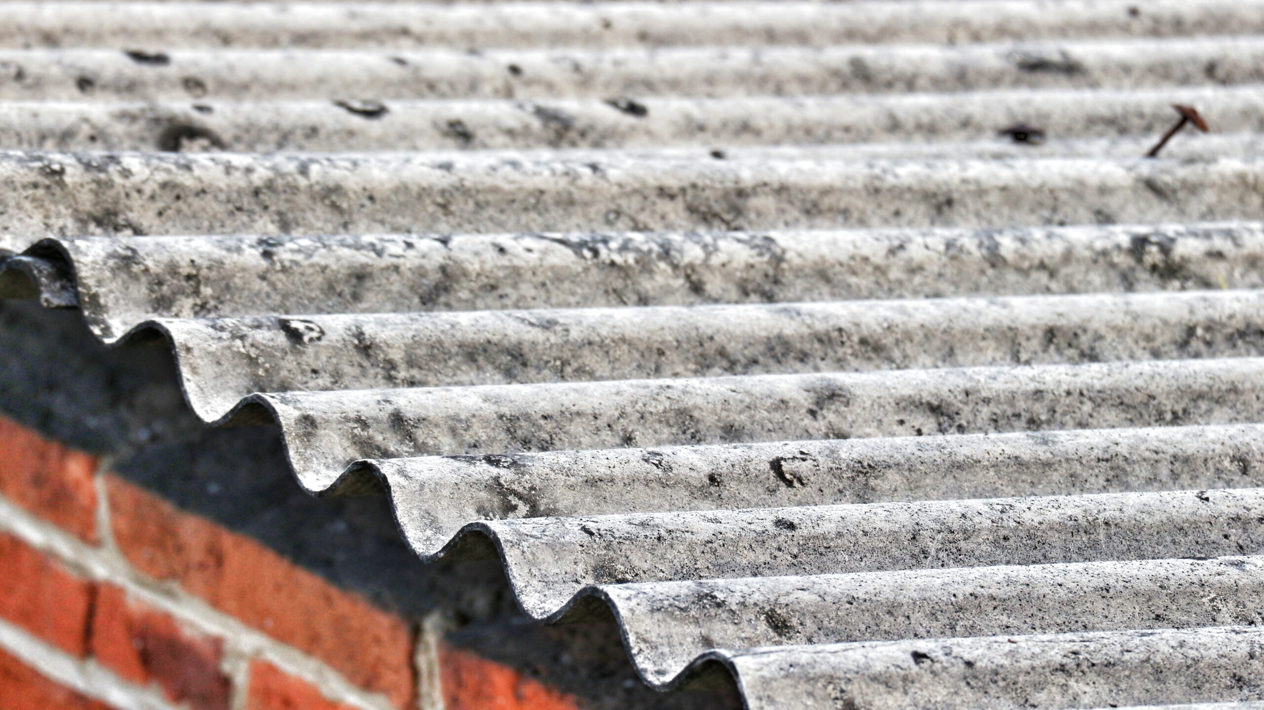 Asbestos roof tiles that have started to become ugly, originally gray in color are starting to show black spots.